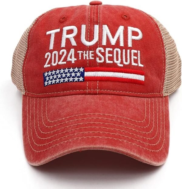 Don't Blame Me, I Voted for Trump 2024 Hat